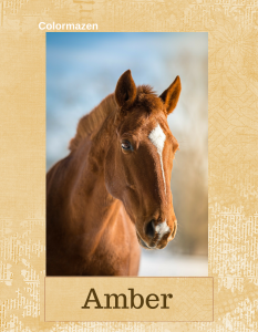 Amber Chestnut Horse 