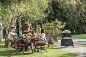 weber Q2000 gas grill barbeque