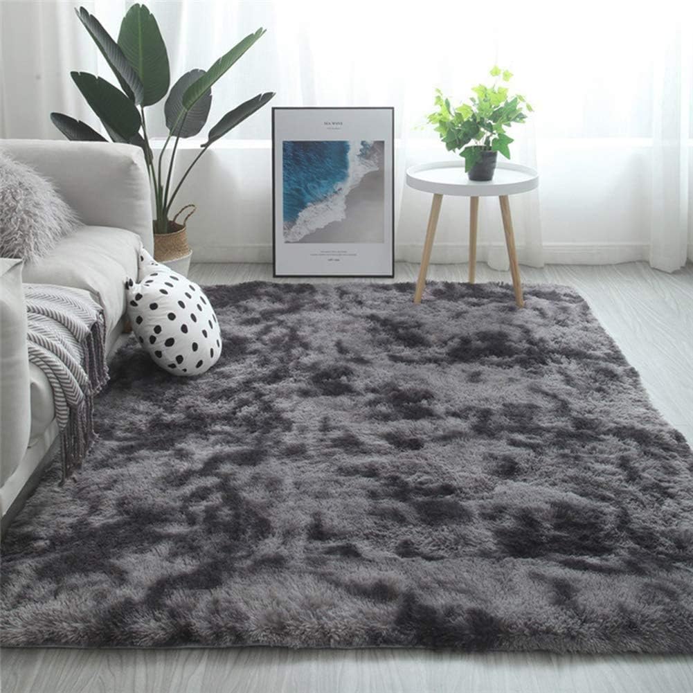 Tinyboy-hbq Area Rugs Living Room Bedroom Rug Soft Carpet Anti Slip Fluffy Large Rugs Shaggy Indoor Nursery Kids Rug Mat Soft Floor Mat Furry Plush Rug for Home Decor(Black gray, 80 * 120cm)