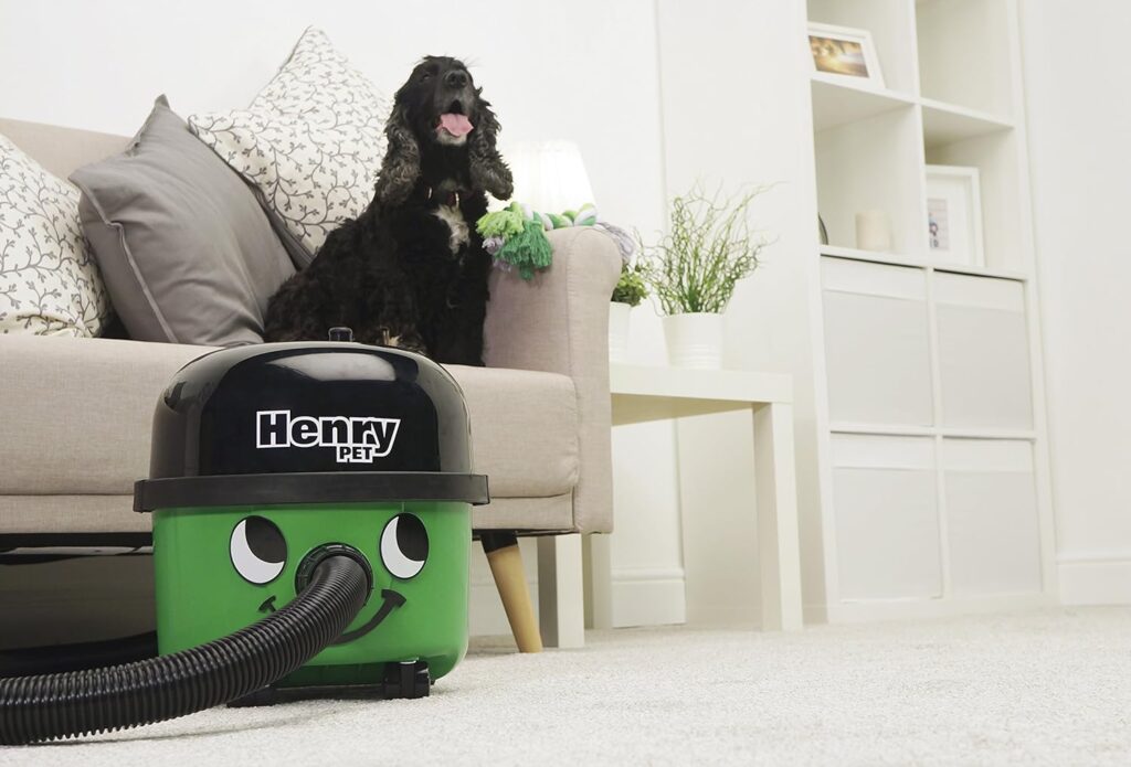 Henry Pet PET200 Bagged Cylinder Vacuum, 9 Litre, 620 Watt, Green